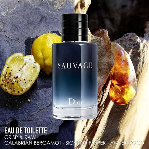 dior sauvage edt vergleich|Dior Sauvage edt fragrantica.